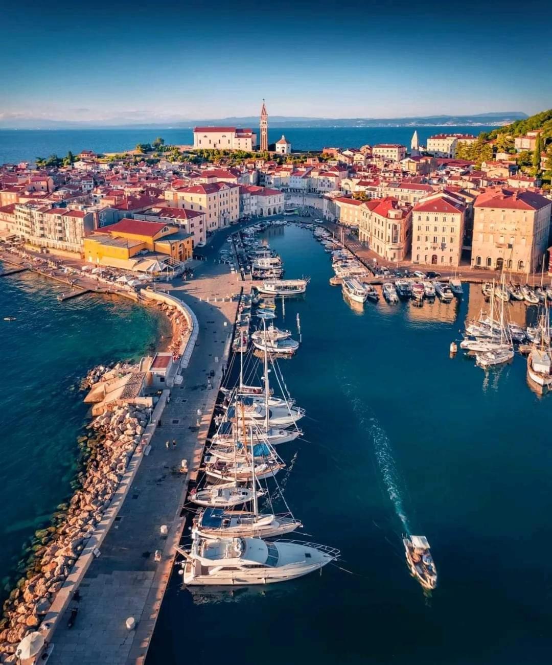 Freedom House Leilighet Piran Eksteriør bilde